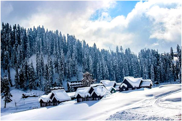  Best Travel Agent in Srinagar